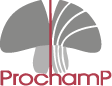 Prochamp